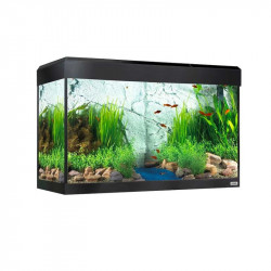 Fluval Roma 125 con Iluminación LED Bluetooth ( ENVIO GRATIS )