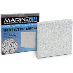 MARINE PURE PLATE 20x20x2,5 cm