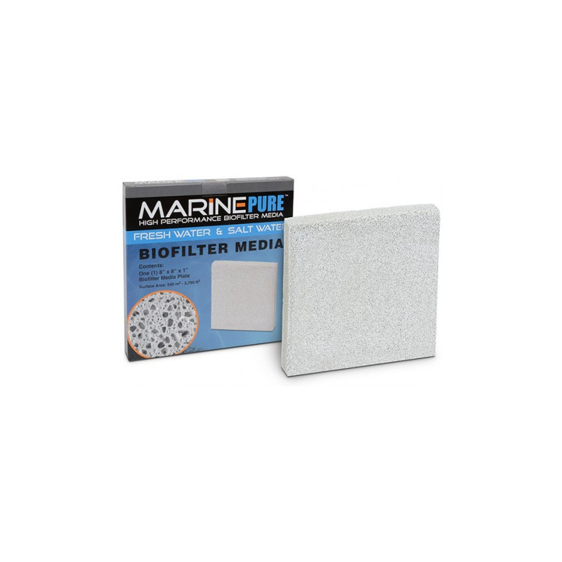 MARINE PURE PLATE 20x20x2,5 cm