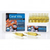 CORAL VITS 30 ampollas