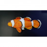 Peluche Pez Payaso Mini