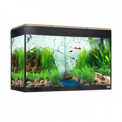 FLUVAL ROMA 125 + MESA CON ILUMINACIÓN LED BLUETOOTH