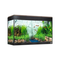 FLUVAL ROMA 200 + MESA CON ILUMINACIÓN LED BLUETOOTH