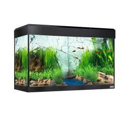 FLUVAL ROMA 240 + MESA CON ILUMINACIÓN LED BLUETOOTH