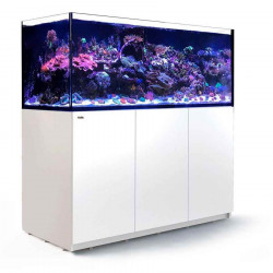 Acuario Reefer XXL 750 G2+ (750 Litros), Red Sea ( Envio gratis )