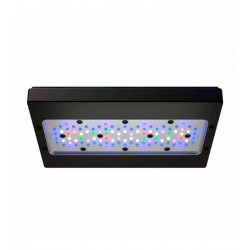 Radion XR30G6 PRO LED Light