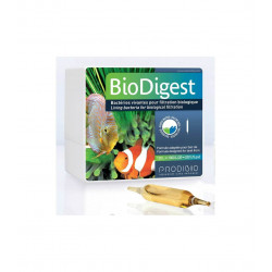 Prodibio Bio Digest 12 ampollas