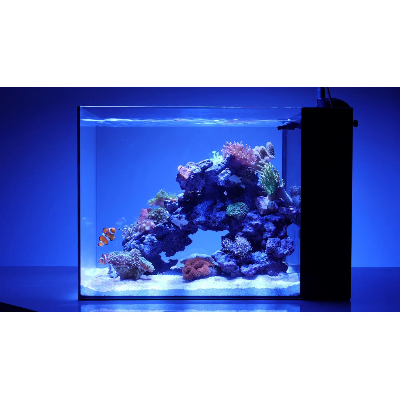 Waterbox Peninsula Mini 25 ( ENVIO GRATIS )