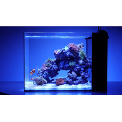 Waterbox Peninsula Mini 25