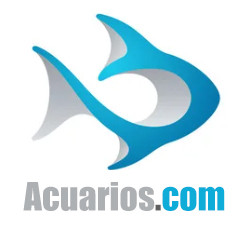 Acuarios .com 